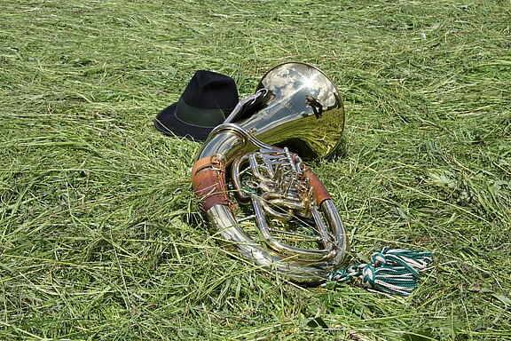 tenorhorn.jpg 